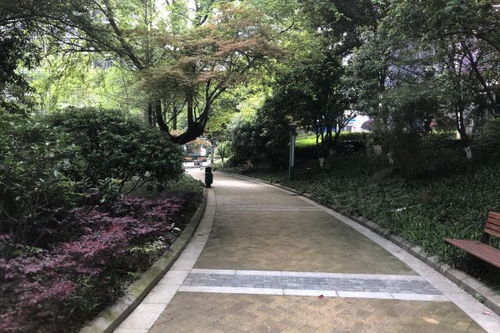 沁園春御院優(yōu)點 不足,沁園春御院怎么樣,沁園春御院周邊房產中介經紀人評價 長沙安居客