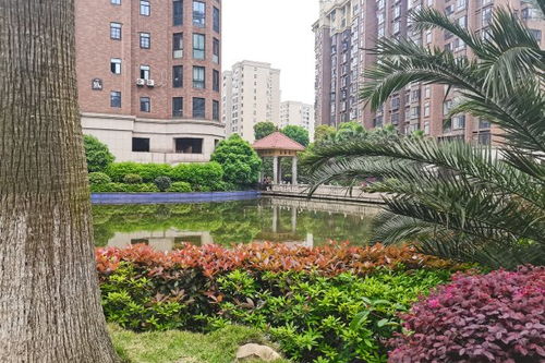 碧桂園城市花園 天心 優(yōu)點 不足,碧桂園城市花園 天心 怎么樣,碧桂園城市花園 天心 周邊房產中介經紀人評價 長沙安居客